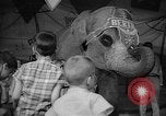 Image éléphant dansant Sparks Nevada USA, 1966, de la seconde 49 séquences d'archives historiques vidéo 65675054391