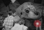 Image éléphant dansant Sparks Nevada USA, 1966, de la seconde 50 séquences d'archives historiques vidéo 65675054391