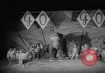 Image éléphant dansant Sparks Nevada USA, 1966, de la seconde 58 séquences d'archives historiques vidéo 65675054391