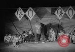 Image éléphant dansant Sparks Nevada USA, 1966, de la seconde 59 séquences d'archives historiques vidéo 65675054391
