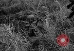 Standbild b-52 Stratofortress Dung Quat Bay Vietnam, 1965, aus Sekunde 52 historischem Filmmaterial Videoclip 65675054395