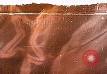 Standbild U-Boote Sowjetunion, 1975, aus Sekunde 1 historischem Filmmaterial Videoclip 65675054397
