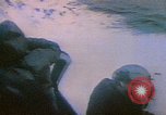 Image of Soviet Strategic Missile Submarine Soviet Union, 1975, second 5 stock footage video 65675054406