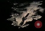 Immagine di Operazione NATO Strikebac Europa, 1957, secondo 3 filmato di repertorio 65675054416