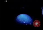 Image of USS Ballistic Missile Submarine United States USA, 1982, second 10 stock footage video 65675054420