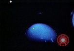 Image of USS Ballistic Missile Submarine United States USA, 1982, second 15 stock footage video 65675054420