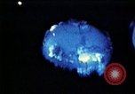 Image of USS Ballistic Missile Submarine United States USA, 1982, second 19 stock footage video 65675054420