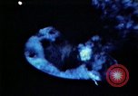 Image of USS Ballistic Missile Submarine United States USA, 1982, second 28 stock footage video 65675054420