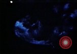 Image of USS Ballistic Missile Submarine United States USA, 1982, second 31 stock footage video 65675054420