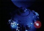 Image of U.S. Ballistic Missile Submarine United States USA, 1982, second 12 stock footage video 65675054421