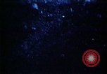 Image of U.S. Ballistic Missile Submarine United States USA, 1982, second 30 stock footage video 65675054421