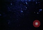 Image of U.S. Ballistic Missile Submarine United States USA, 1982, second 31 stock footage video 65675054421