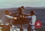 Immagine di Barca Swift Il Vietnam, 1965, secondo 45 filmato di repertorio 65675054457