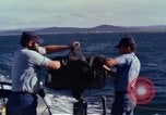 Immagine di Barca Swift Il Vietnam, 1965, secondo 46 filmato di repertorio 65675054457
