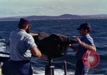 Immagine di Barca Swift Il Vietnam, 1965, secondo 47 filmato di repertorio 65675054457