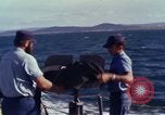 Immagine di Barca Swift Il Vietnam, 1965, secondo 49 filmato di repertorio 65675054457