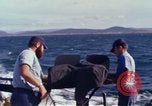 Immagine di Barca Swift Il Vietnam, 1965, secondo 52 filmato di repertorio 65675054457
