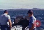 Immagine di Barca Swift Il Vietnam, 1965, secondo 54 filmato di repertorio 65675054457
