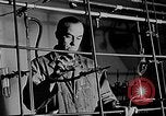 Standbild Fred Rose Ottawa Ontario Kanada, 1946, aus Sekunde 13 historischem Filmmaterial Videoclip 65675054471
