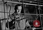 Standbild Fred Rose Ottawa Ontario Kanada, 1946, aus Sekunde 16 historischem Filmmaterial Videoclip 65675054471