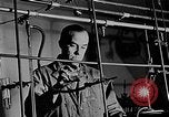 Standbild Fred Rose Ottawa Ontario Kanada, 1946, aus Sekunde 23 historischem Filmmaterial Videoclip 65675054471