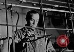 Standbild Fred Rose Ottawa Ontario Kanada, 1946, aus Sekunde 24 historischem Filmmaterial Videoclip 65675054471