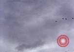 Standbild P-47D Thunderbolt Florennes Belgien, 1945, aus Sekunde 41 historischem Filmmaterial Videoclip 65675054476