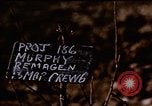 Immagine di P-38 Fulmine Florennes Belgio, 1945, secondo 5 filmato di repertorio 65675054477