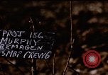 Immagine di P-38 Fulmine Florennes Belgio, 1945, secondo 8 filmato di repertorio 65675054477