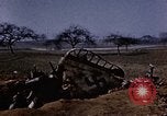 Immagine di Aerei tedeschi Florennes Belgio, 1945, secondo 56 filmato di repertorio 65675054478