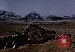 Immagine di Aerei tedeschi Florennes Belgio, 1945, secondo 57 filmato di repertorio 65675054478