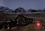 Immagine di Aerei tedeschi Florennes Belgio, 1945, secondo 60 filmato di repertorio 65675054478
