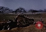 Immagine di Aerei tedeschi Florennes Belgio, 1945, secondo 61 filmato di repertorio 65675054478