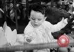 Immagine di Figli di combattenti United States USA, 1943, secondo 29 filmato di repertorio 65675054481