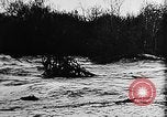 Immagine di Tennessee Valley Authority United States USA, 1943, secondo 20 filmato di repertorio 65675054482
