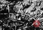 Immagine di Tennessee Valley Authority United States USA, 1943, secondo 38 filmato di repertorio 65675054482
