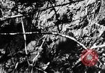 Immagine di Tennessee Valley Authority United States USA, 1943, secondo 39 filmato di repertorio 65675054482