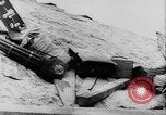 Image of John Edgar Hoover United States USA, 1944, second 36 stock footage video 65675054486
