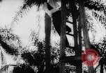 Standbild Fritz Duquesne spy ring United States USA, 1941, aus Sekunde 35 historischem Filmmaterial Videoclip 65675054487