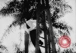 Standbild Fritz Duquesne spy ring United States USA, 1941, aus Sekunde 36 historischem Filmmaterial Videoclip 65675054487
