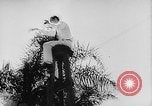 Standbild Fritz Duquesne spy ring United States USA, 1941, aus Sekunde 40 historischem Filmmaterial Videoclip 65675054487