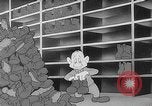 Image of Private Snafu United States USA, 1944, second 33 stock footage video 65675054489