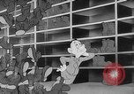 Image of Private Snafu United States USA, 1944, second 55 stock footage video 65675054489