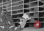 Image of Private Snafu United States USA, 1944, second 56 stock footage video 65675054489