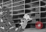 Image of Private Snafu United States USA, 1944, second 57 stock footage video 65675054489