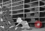 Image of Private Snafu United States USA, 1944, second 59 stock footage video 65675054489