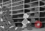 Image of Private Snafu United States USA, 1944, second 60 stock footage video 65675054489