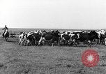 Standbild routinemäßige Aktivitäten Iowa United States USA, 1944, aus Sekunde 29 historischem Filmmaterial Videoclip 65675054495