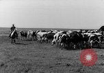 Standbild routinemäßige Aktivitäten Iowa United States USA, 1944, aus Sekunde 32 historischem Filmmaterial Videoclip 65675054495