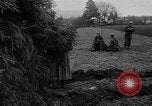 Image Allemand de pièces d'artillerie automotrices Saint Vith Belgique, 1944, de la seconde 22 séquences d'archives historiques vidéo 65675054506